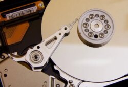 Harddisk Alırken Garanti Süresi Önemli mi?